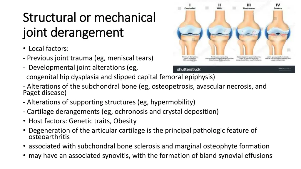 structural or mechanical structural or mechanical