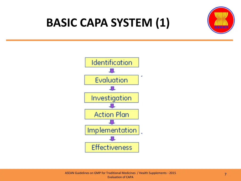 basic capa system 1