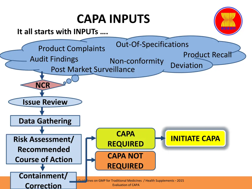 capa inputs