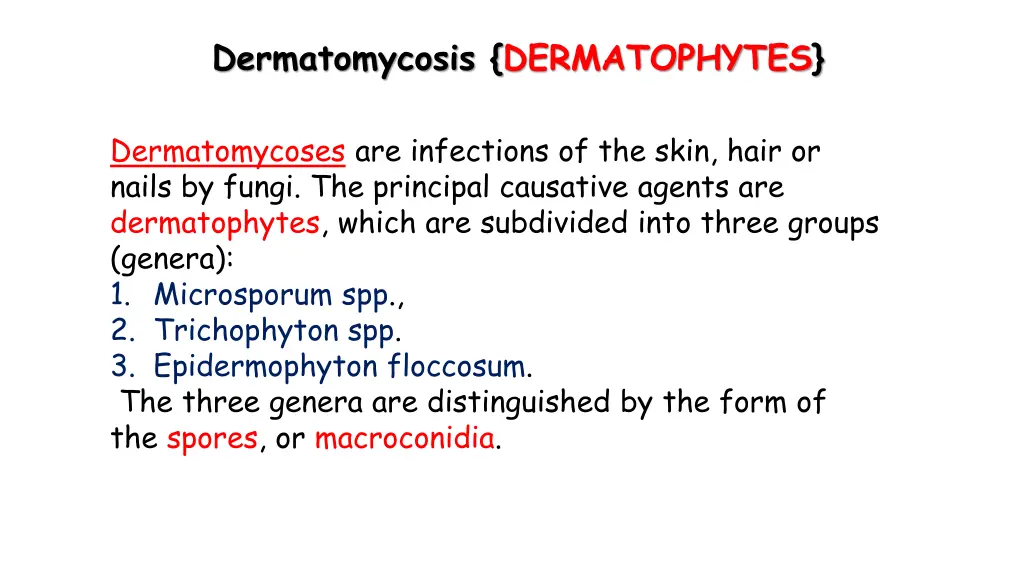 dermatomycosis dermatophytes