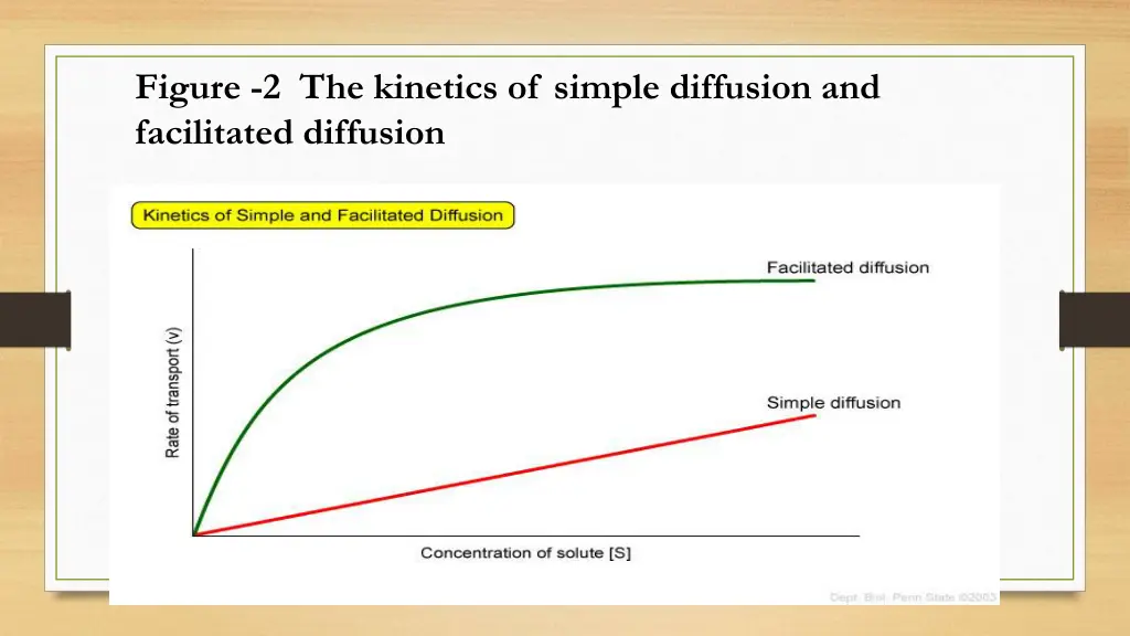 figure 2 the kinetics of simple diffusion