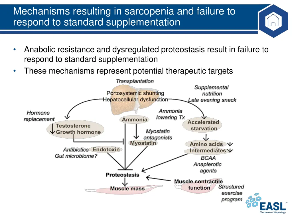 mechanisms resulting in sarcopenia and failure