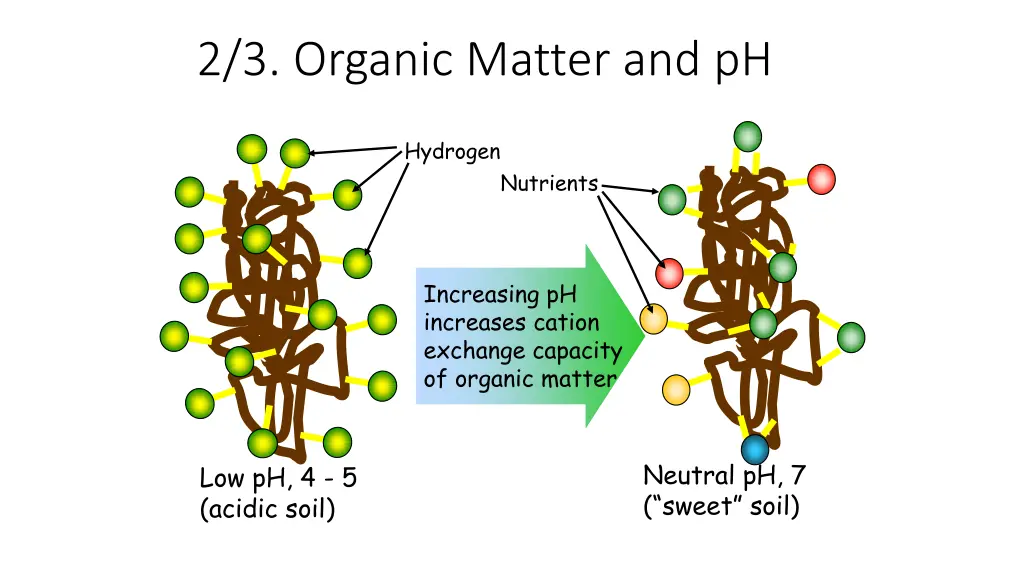 2 3 organic matter and ph