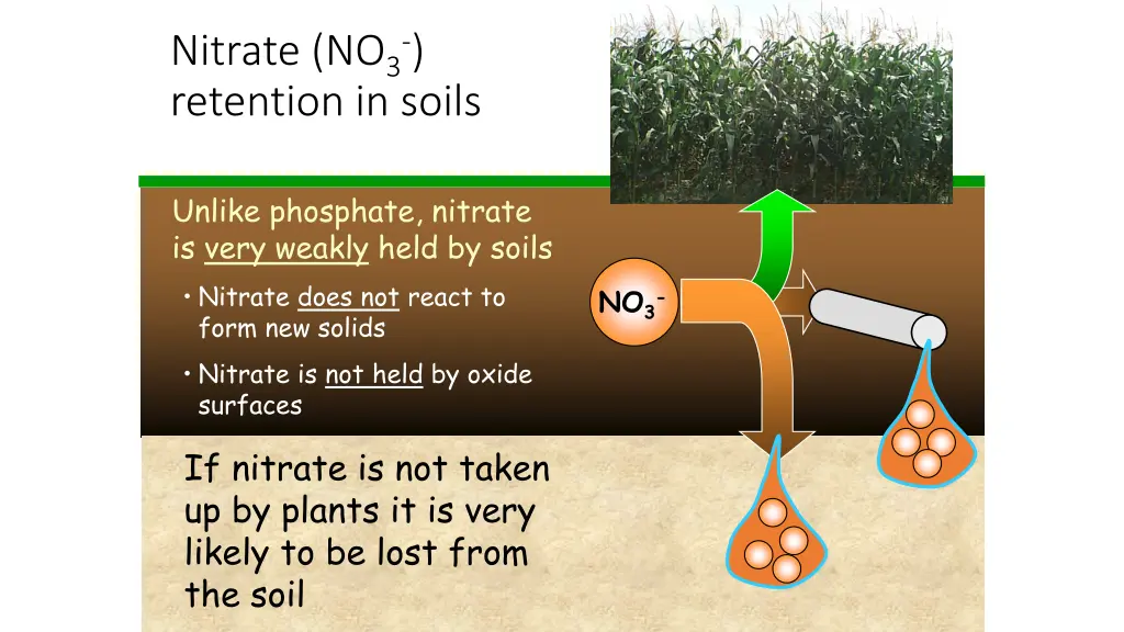 nitrate no 3 retention in soils