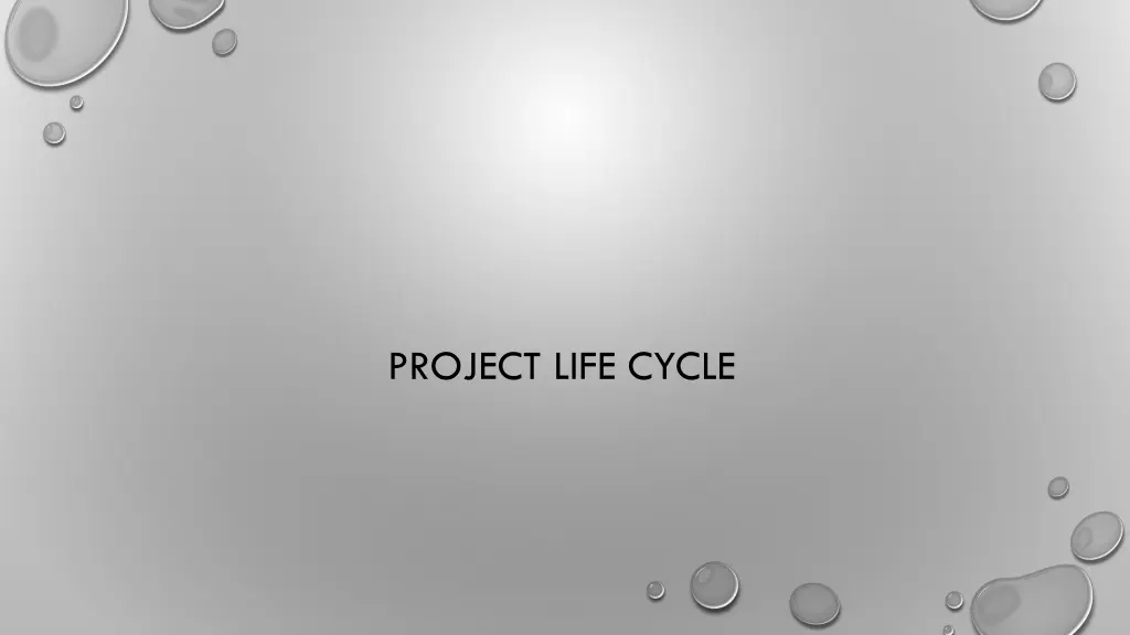 project life cycle 1