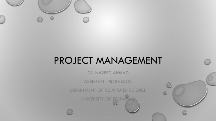 project management