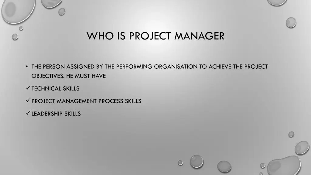 who is project manager