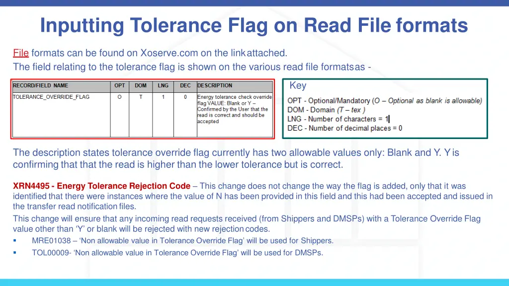 inputting tolerance flag on read file formats