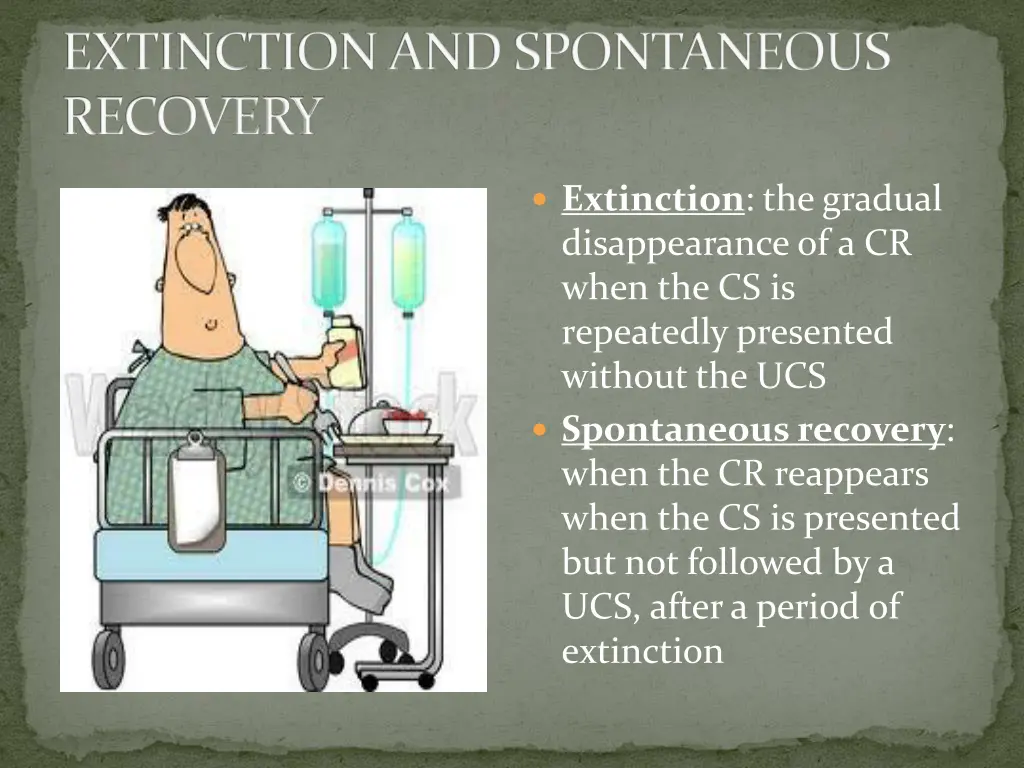 extinction and spontaneous recovery