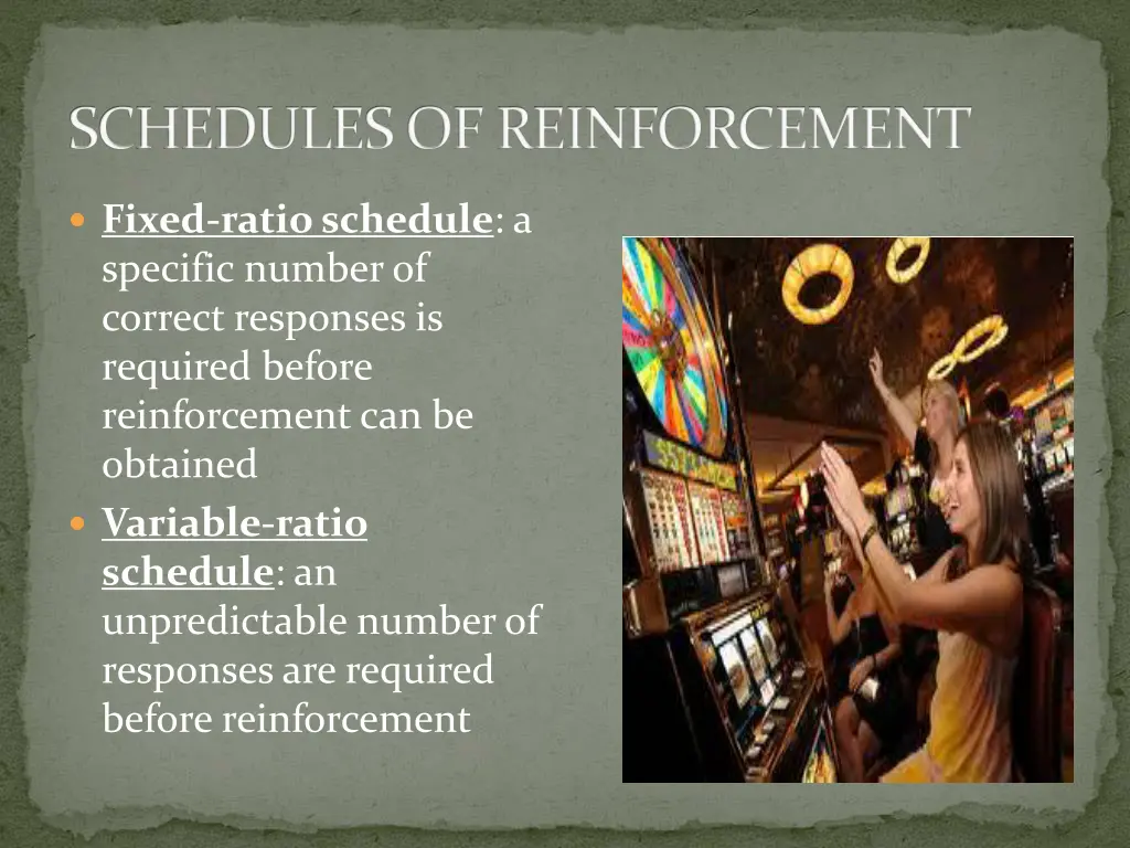 schedules of reinforcement 1