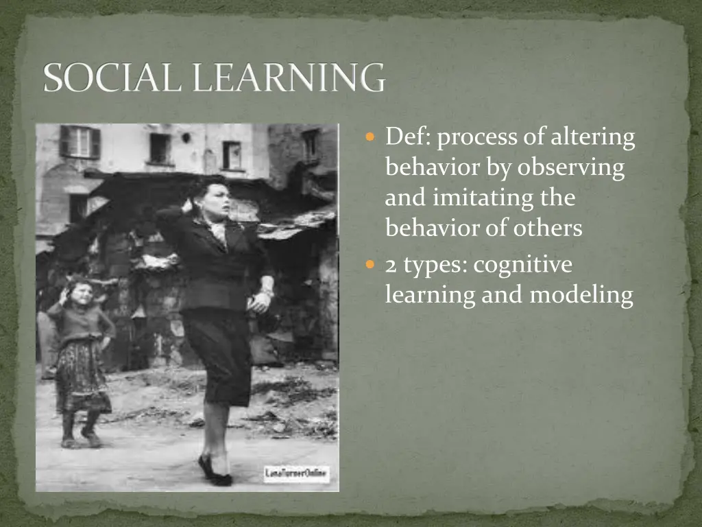 social learning