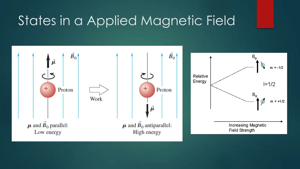 states in a applied magnetic field