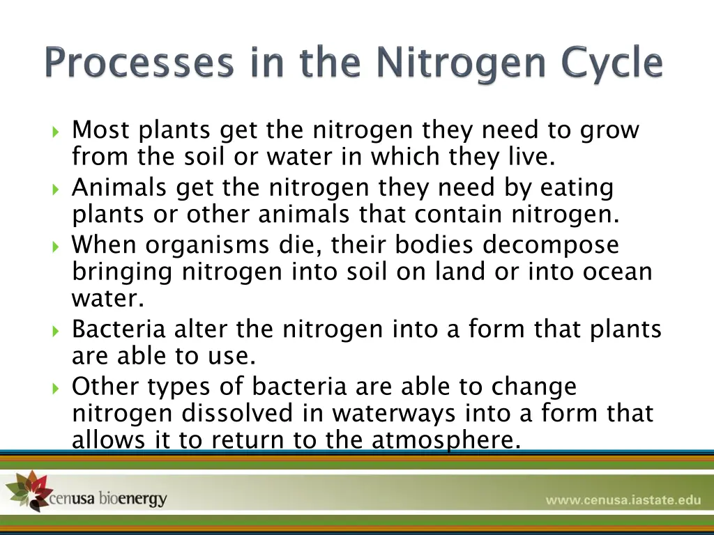 most plants get the nitrogen they need to grow