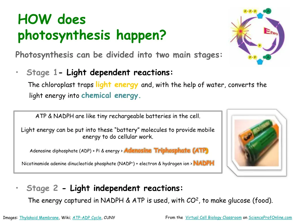 how does photosynthesis happen