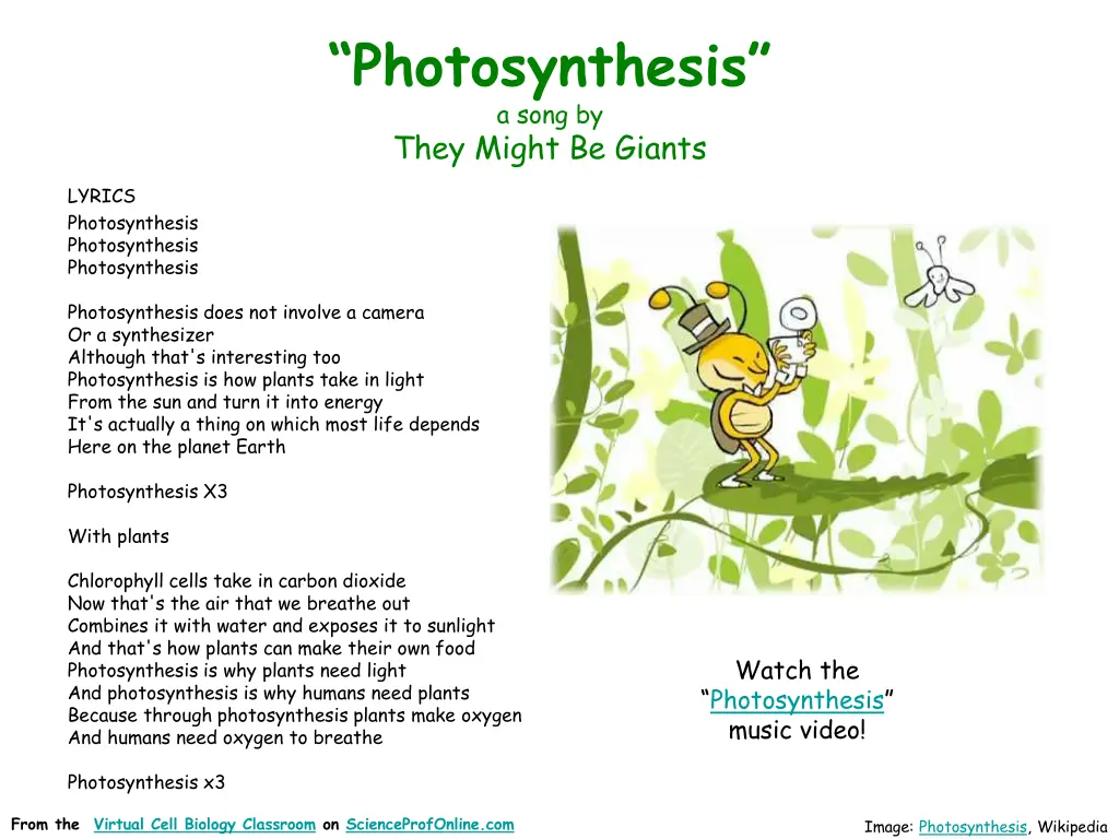 photosynthesis a song by they might be giants