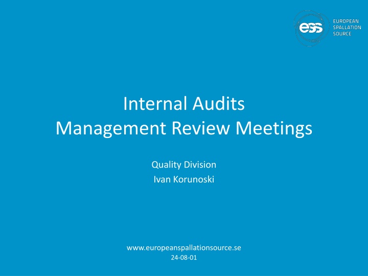 internal audits