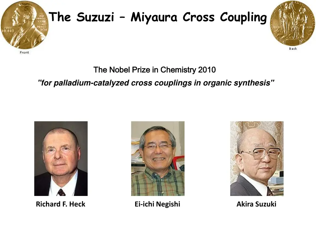 the suzuzi miyaura cross coupling