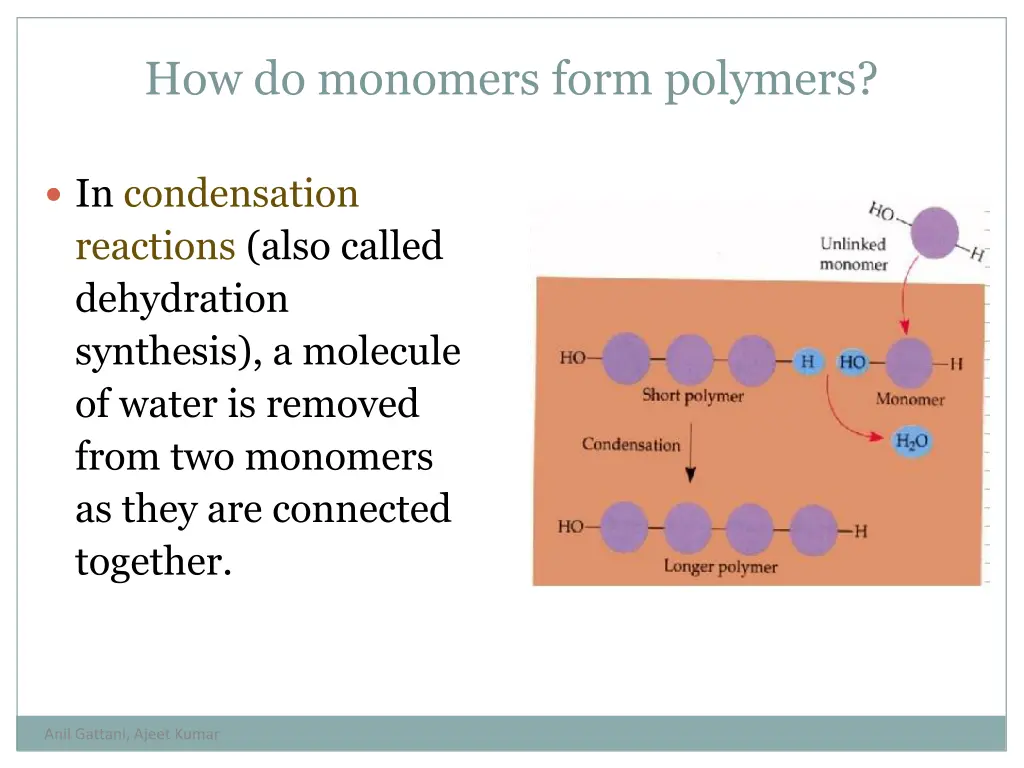 how do monomers form polymers