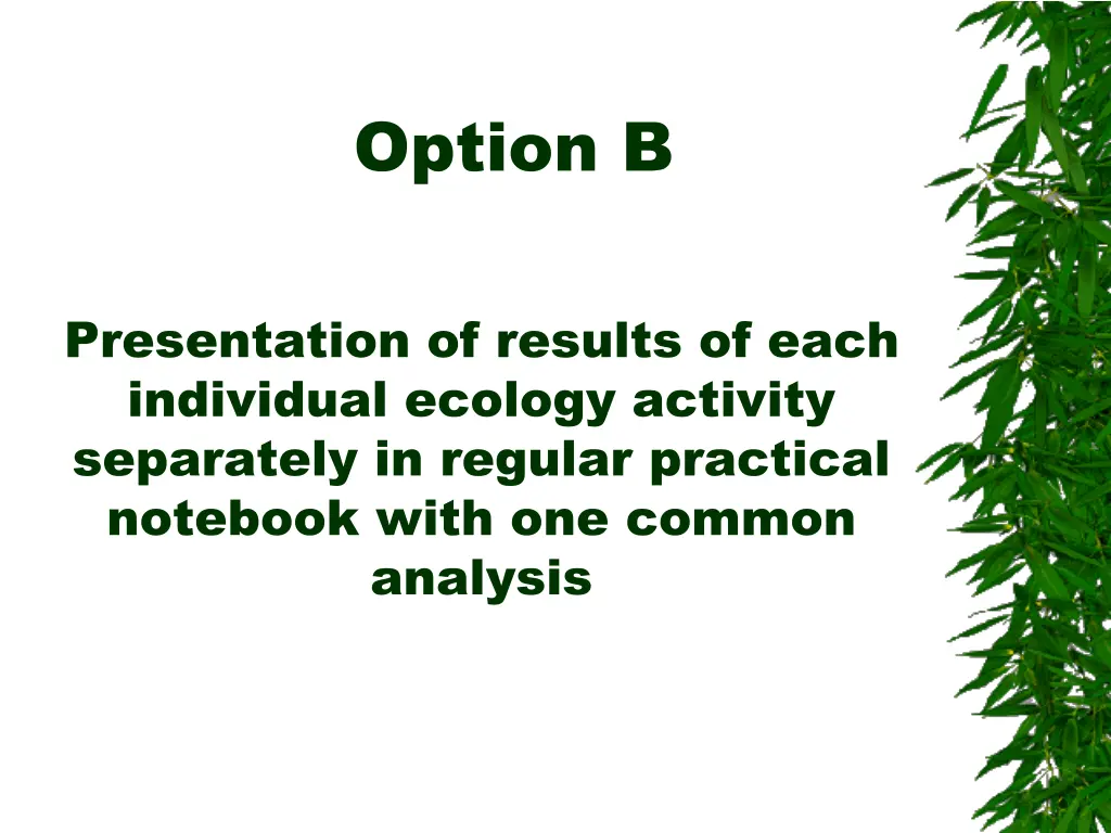 option b