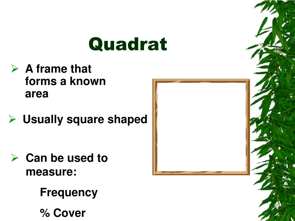 quadrat