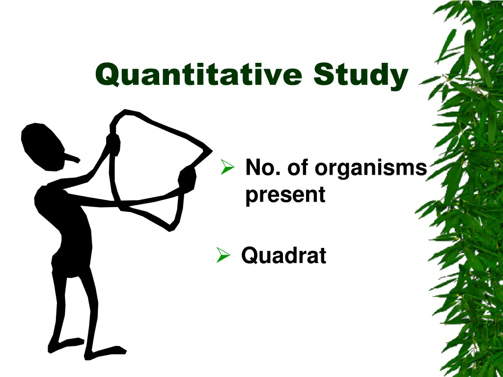 quantitative study