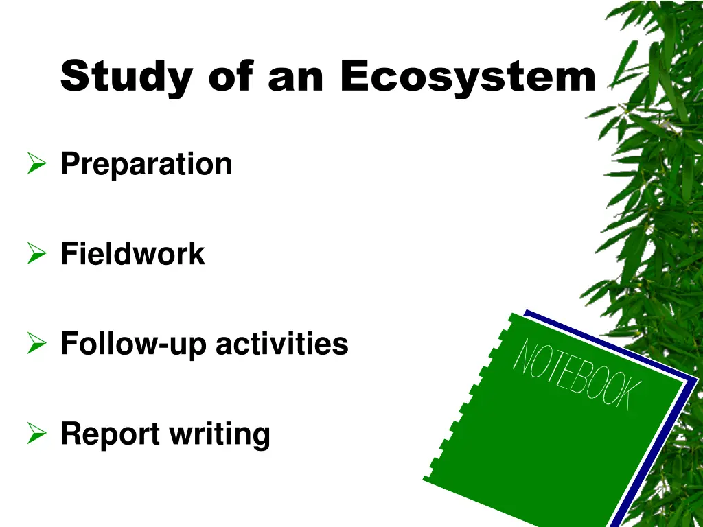 study of an ecosystem