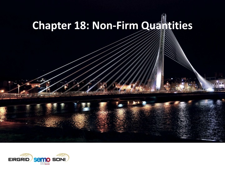 chapter 18 non firm quantities