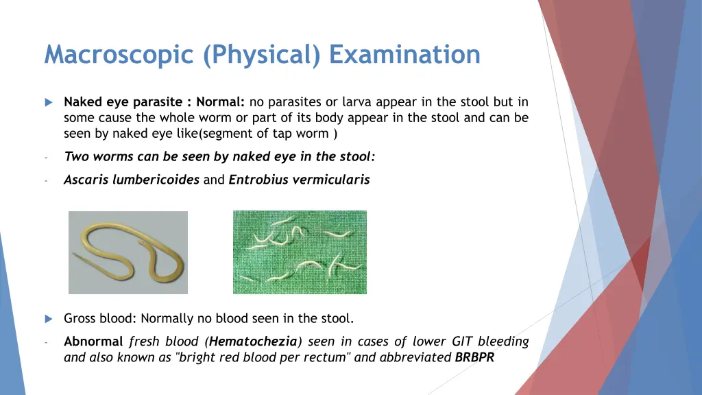 macroscopic physical examination 3