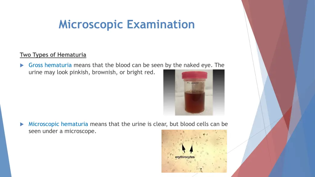 microscopic examination 2