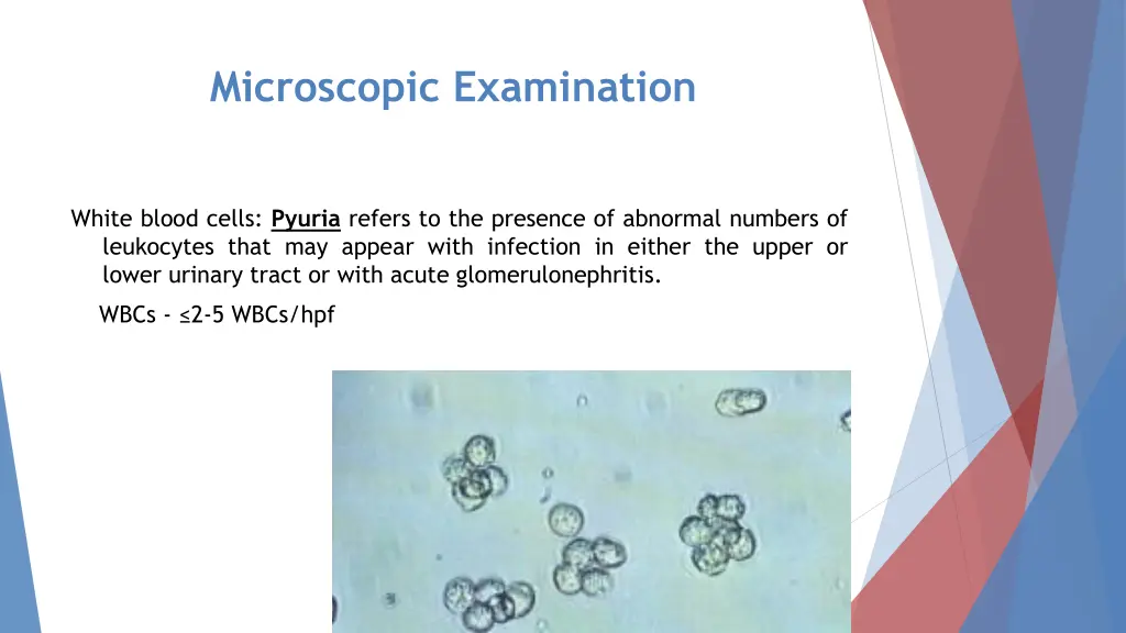 microscopic examination 3