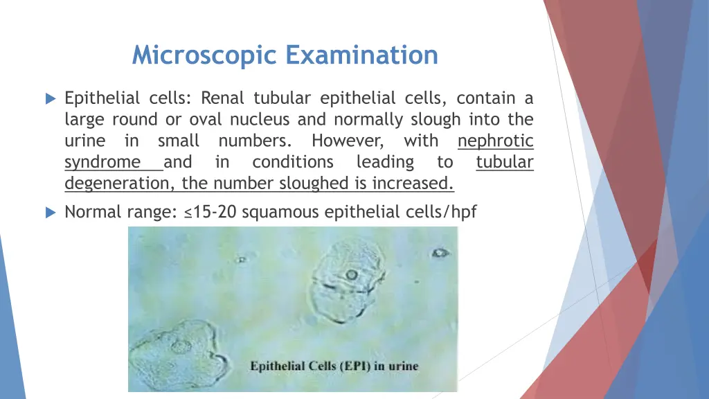 microscopic examination 4