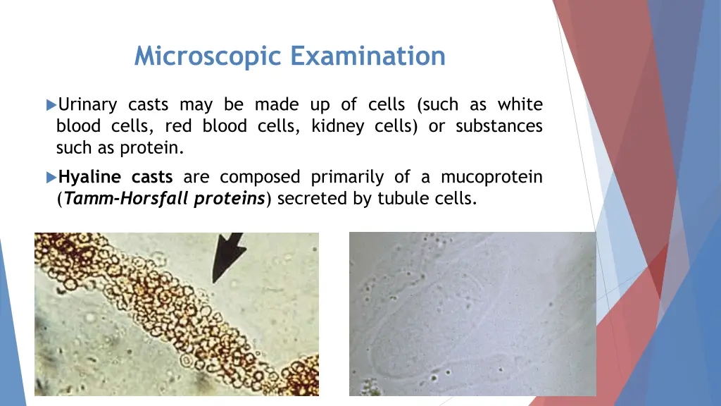 microscopic examination 5