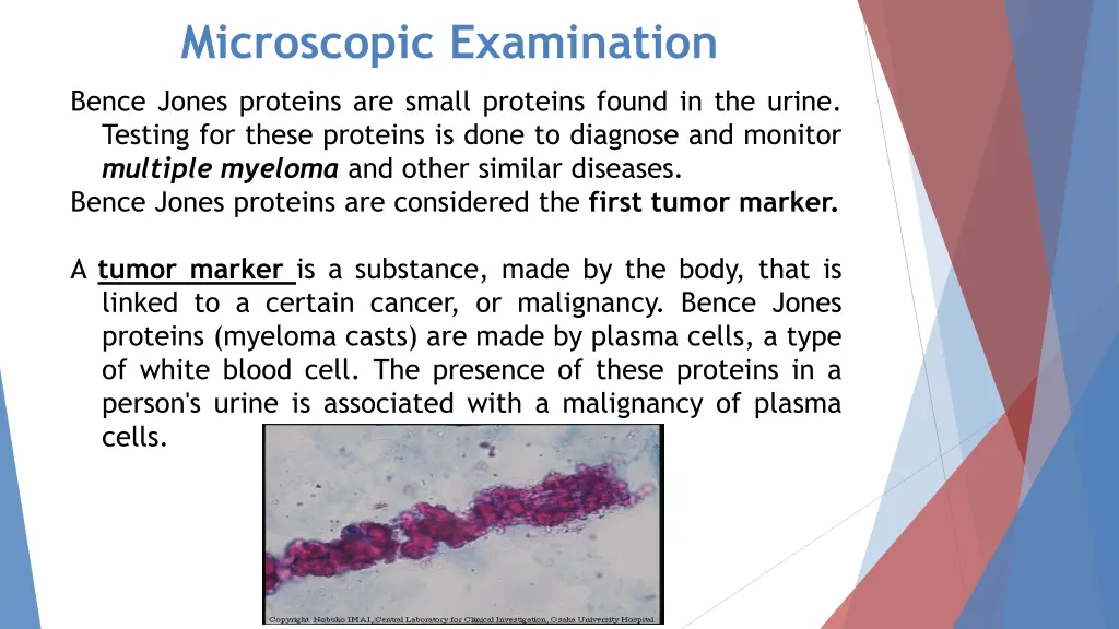 microscopic examination 6