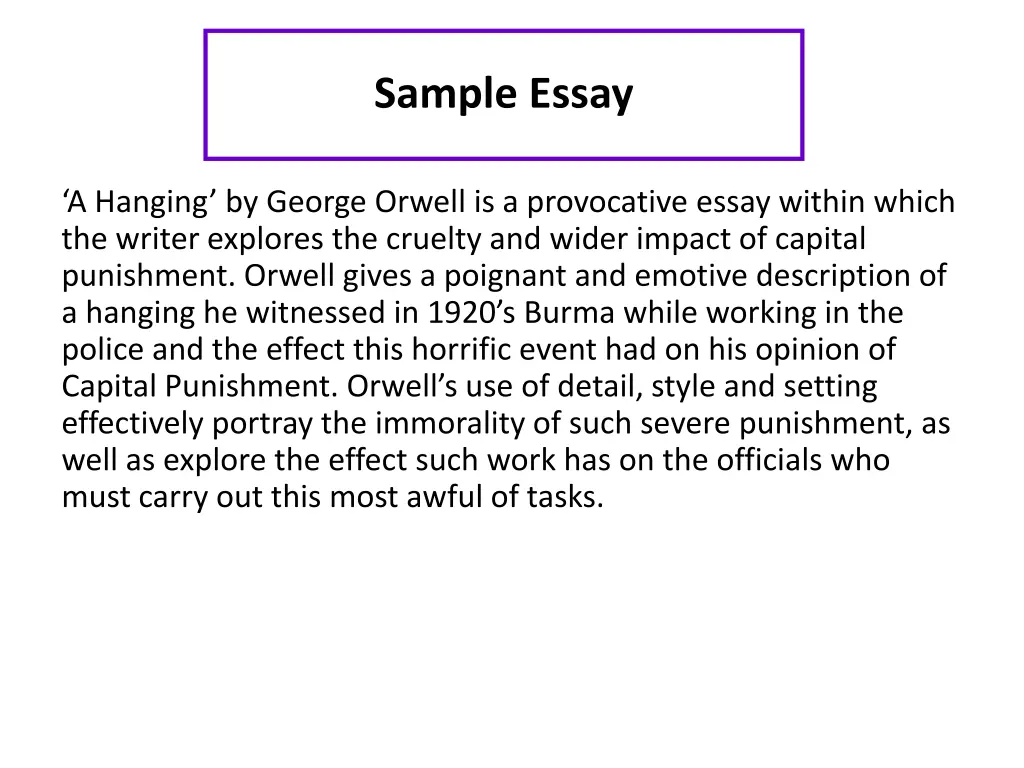 sample essay