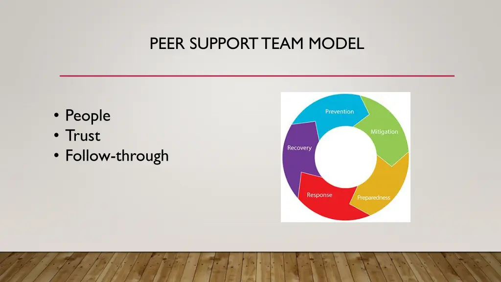 peer support team model