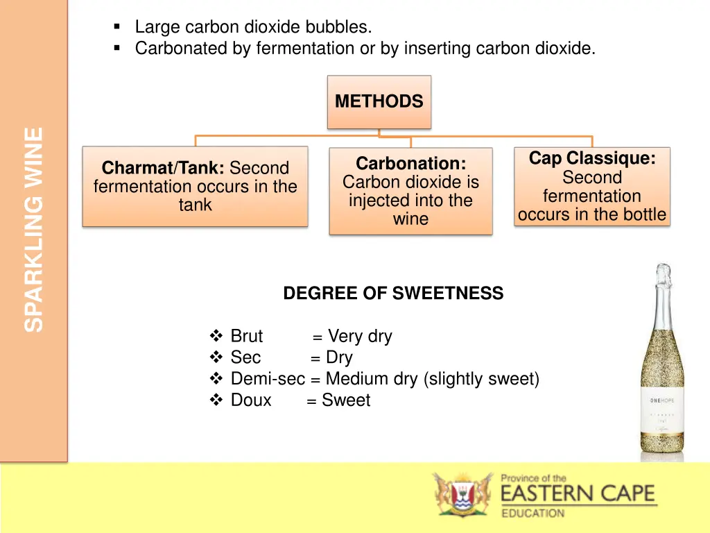 large carbon dioxide bubbles carbonated