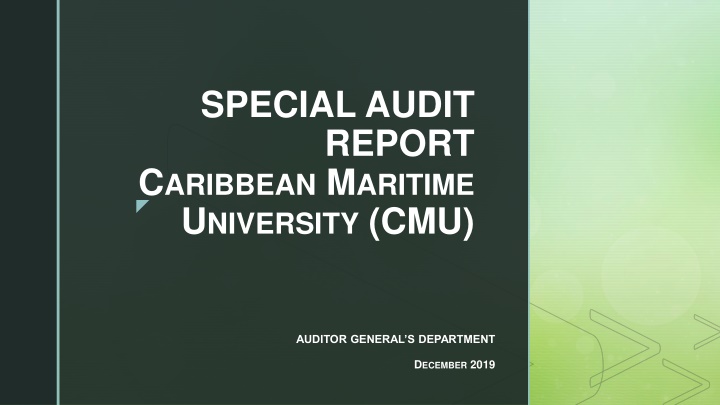 special audit report c aribbean m aritime