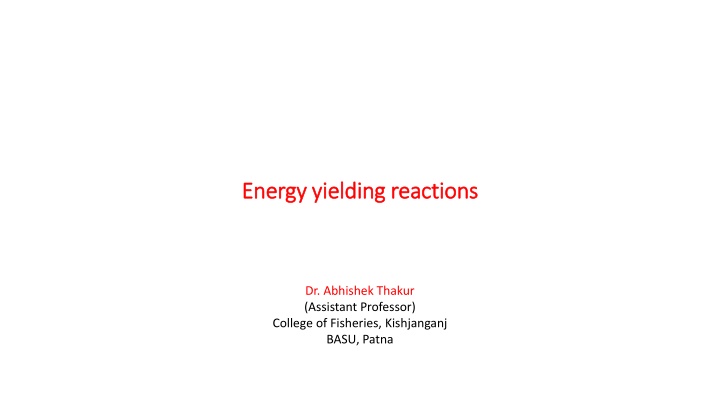 energy yielding reactions energy yielding