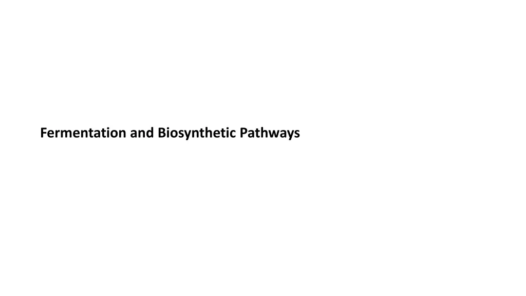 fermentation and biosynthetic pathways