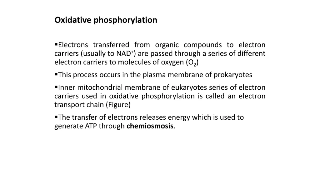 oxidative phosphorylation