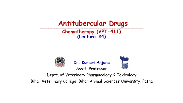 antitubercular drugs chemotherapy vpt 411 lecture