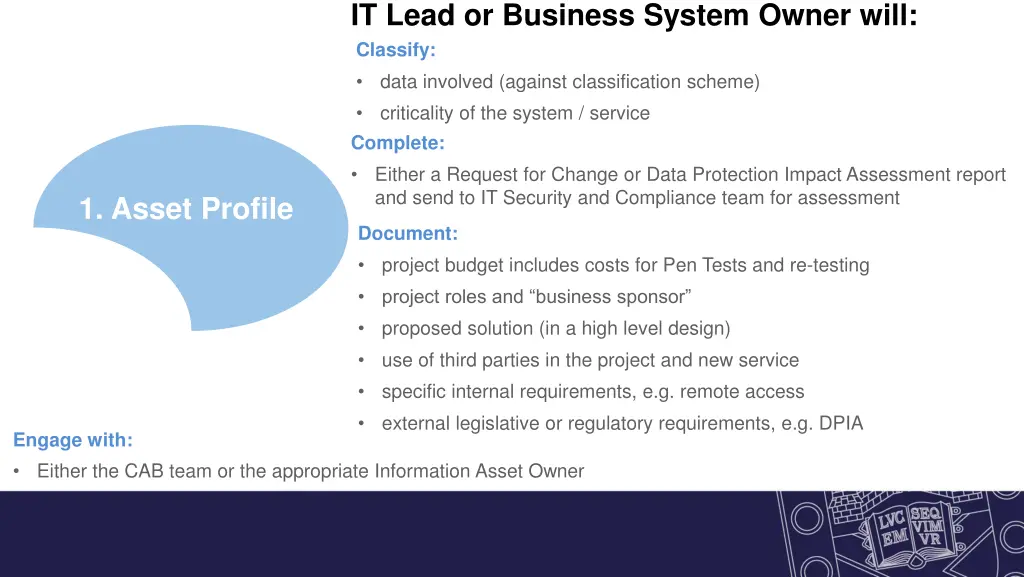 it lead or business system owner will