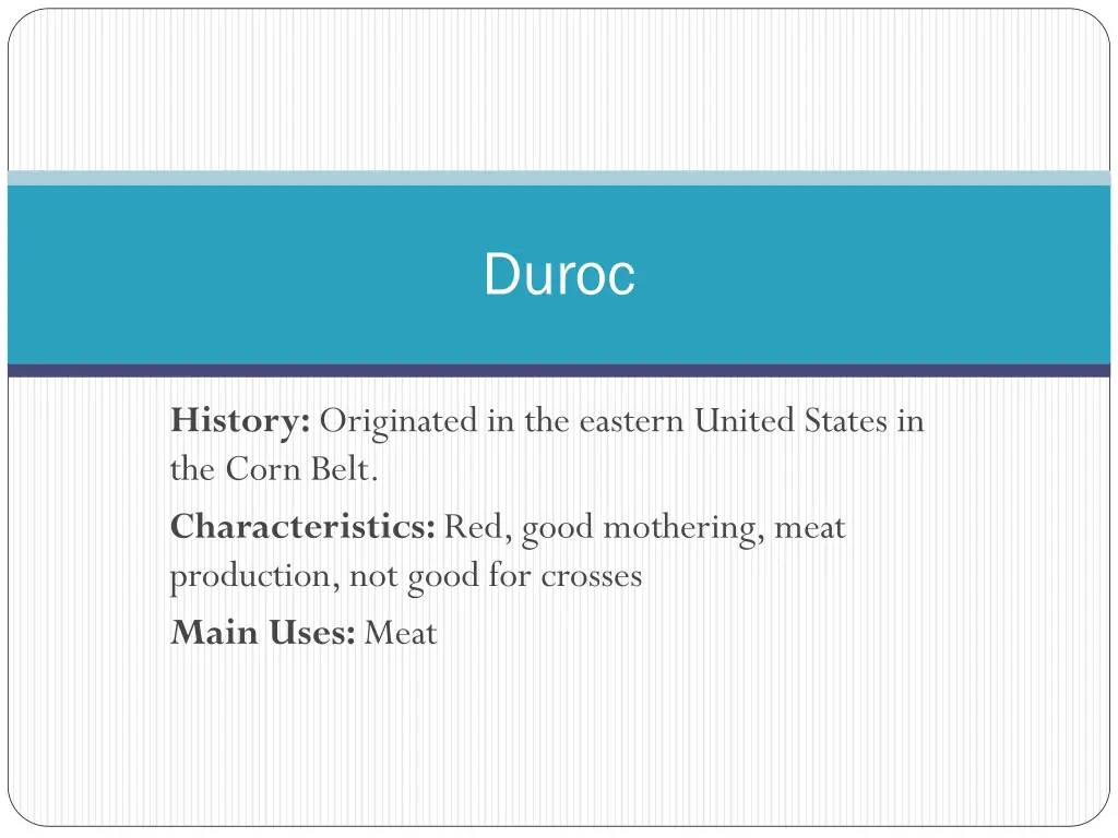 duroc 1