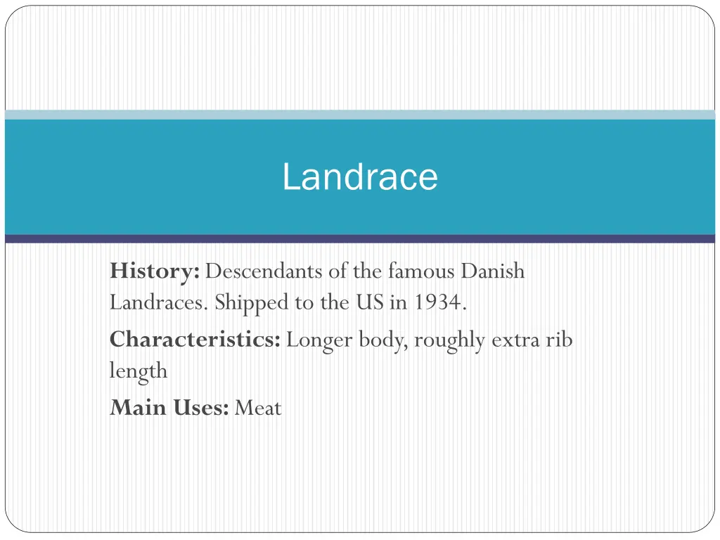 landrace 1