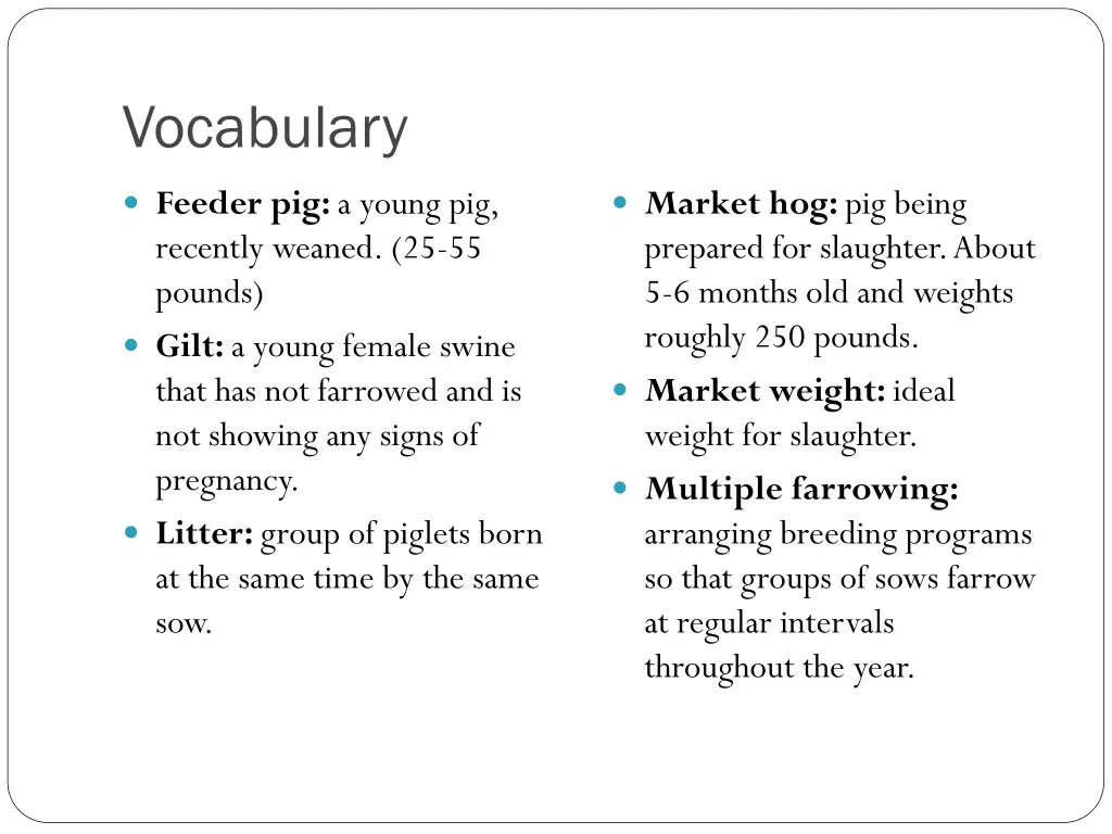 vocabulary 1