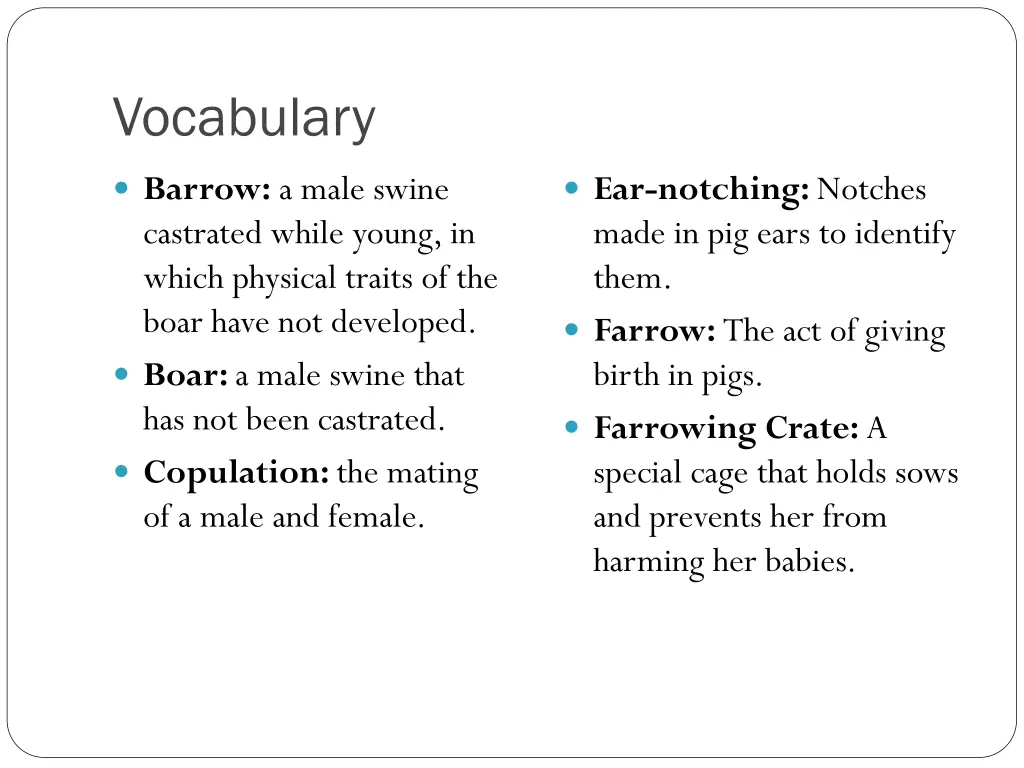 vocabulary