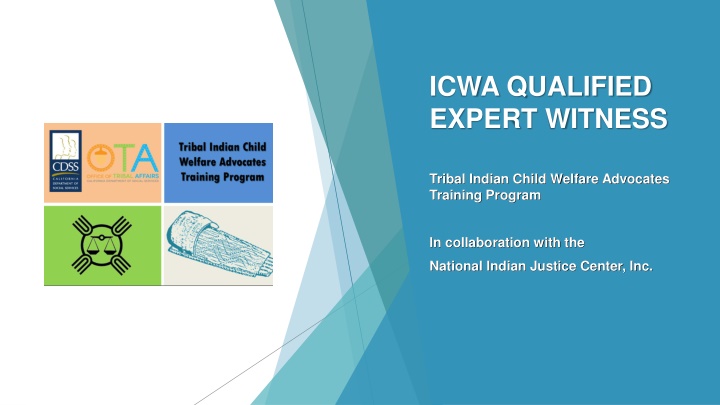 icwa qualified expert witness