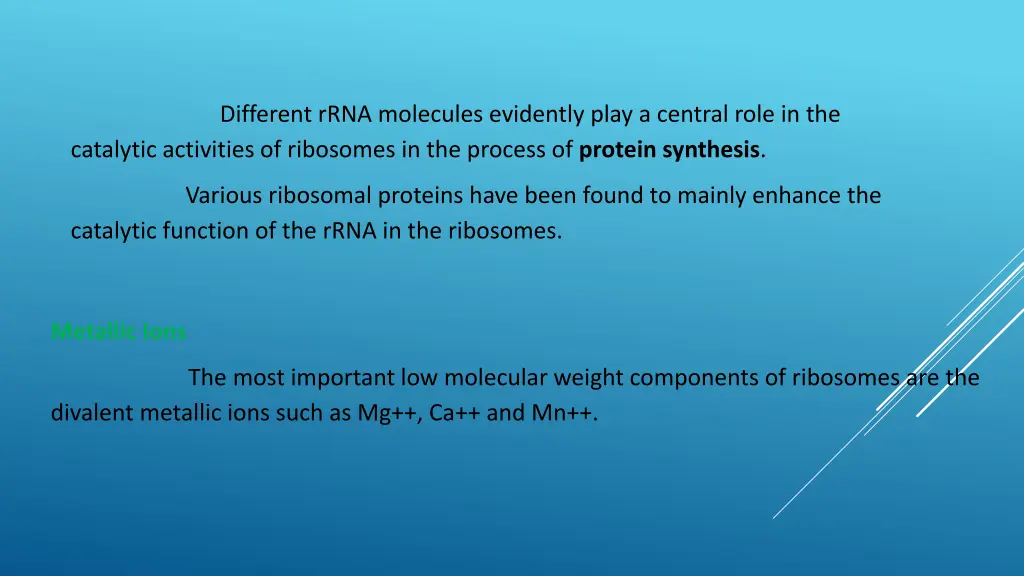 different rrna molecules evidently play a central