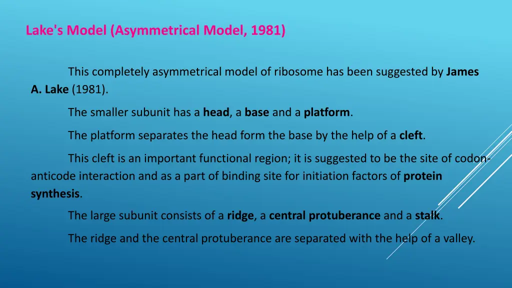 lake s model asymmetrical model 1981