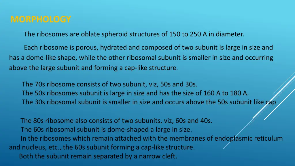 morphology